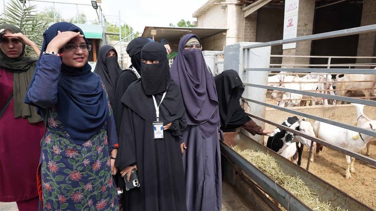 Goat Farming – photo 9 of 27